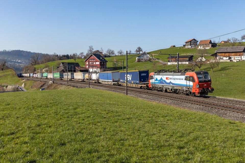 SBB Cargo (SBBC): SBB 193 474 (Immensee, SZ/CH)