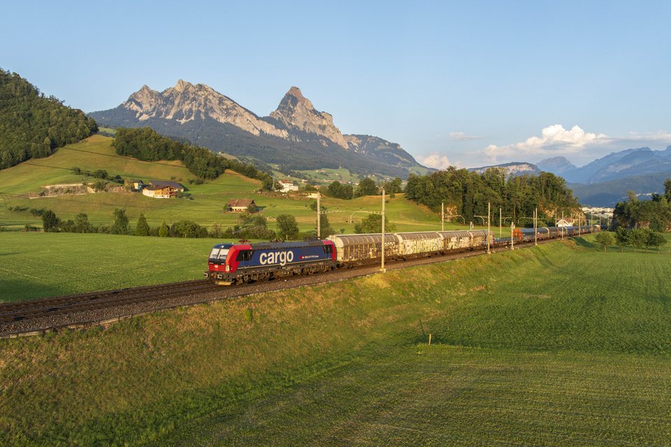 SBB Cargo (SBBC): SBB Cargo 193 057-7 - Steinen, SZ (CH)