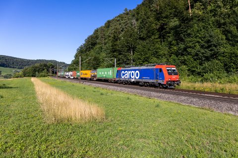 SBB Cargo (SBBC): SBB Cargo Re 484 004 (Frick, AG/CH)