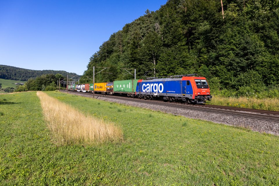 SBB Cargo (SBBC): SBB Cargo Re 484 004 (Frick, AG/CH)