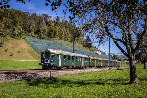 SBB Historic BDe 4/4 (Feldbach, ZH/CH)