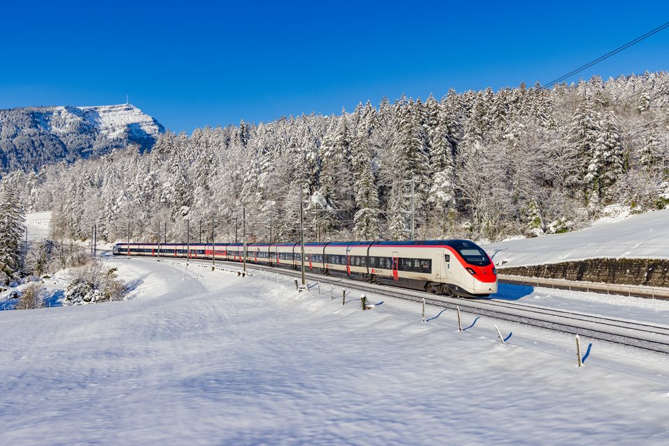 SBB (Personenverkehr): RABe 501 002 / CH-Goldau