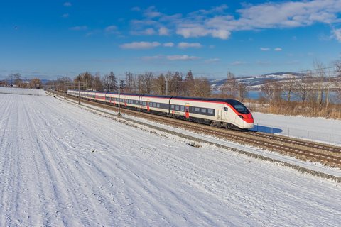 SBB (Personenverkehr): RABe 501 010 / CH-Nottwil