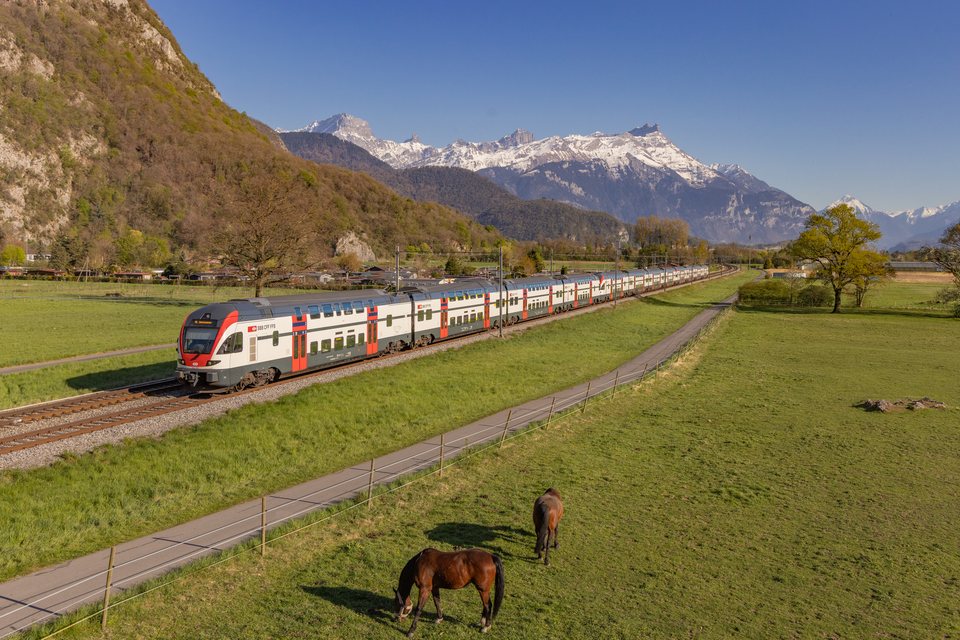 RABe 511 105, RABe 511 114 (SBB (Personenverkehr)): RABe 511 122 + 105 + 114 / CH- Roche