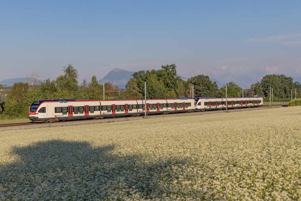 RABe 523 063 (SBB (Personenverkehr)): RABe 523 045 + 063 / CH-Nottwil