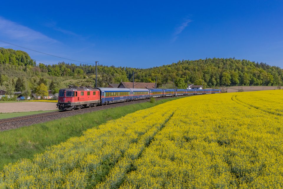 Re 420 (Re 4/4 II) 11181 (SBB (Personenverkehr)): Re 4/4 11181 / CH-Rafz