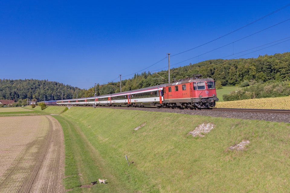 Re 420 (Re 4/4 II) 299 (SBB (Personenverkehr)): Re 420 299 / CH-Rafz