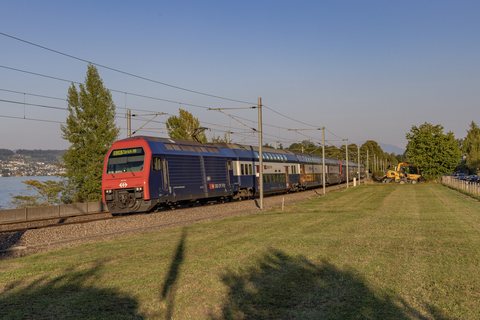 Re 450 013 (SBB (Personenverkehr)): Re 450 003 + 013 / CH-Horgen