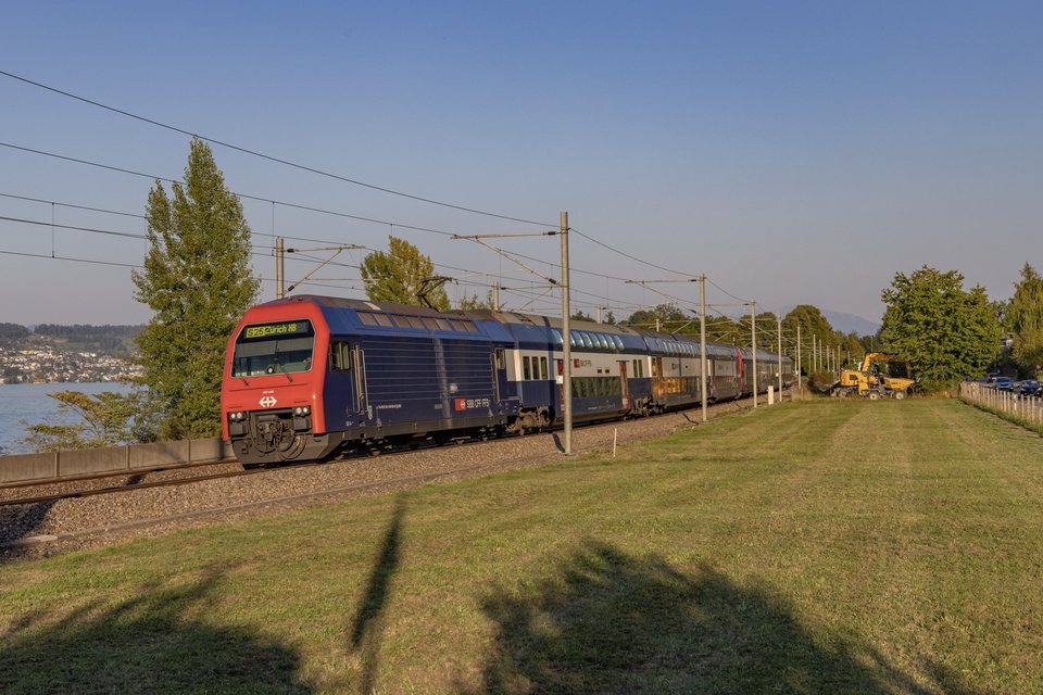 Re 450 013 (SBB (Personenverkehr)): Re 450 003 + 013 / CH-Horgen