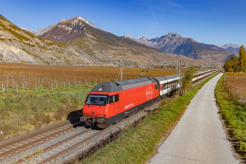 SBB (Personenverkehr): Re 460 049 / CH-Chamoson