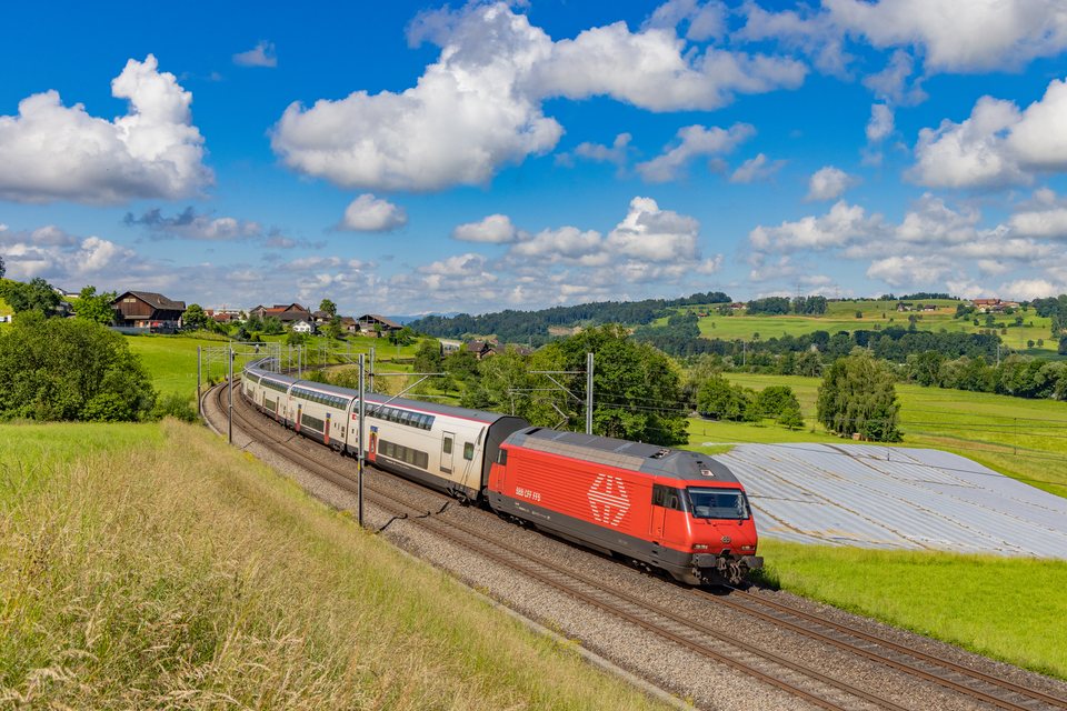 SBB (Personenverkehr): Re 460 050 / CH-Rotkreuz