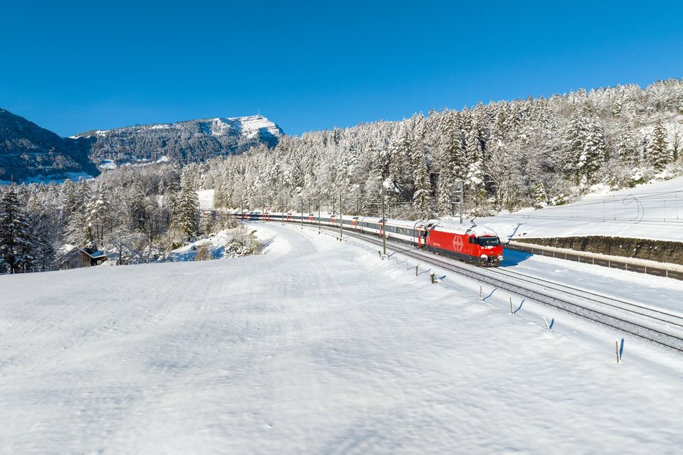 Re 460 460 (SBB (Personenverkehr)): SBB Re 460 - Goldau SZ/CH