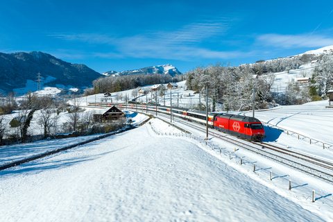 Re 460 460 (SBB (Personenverkehr)): SBB Re 460 - Steinen SZ/CH