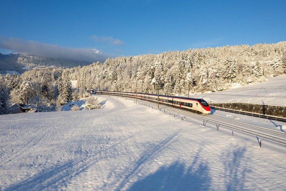SBB (Personenverkehr): SBB RABe 501 - Goldau SZ/CH