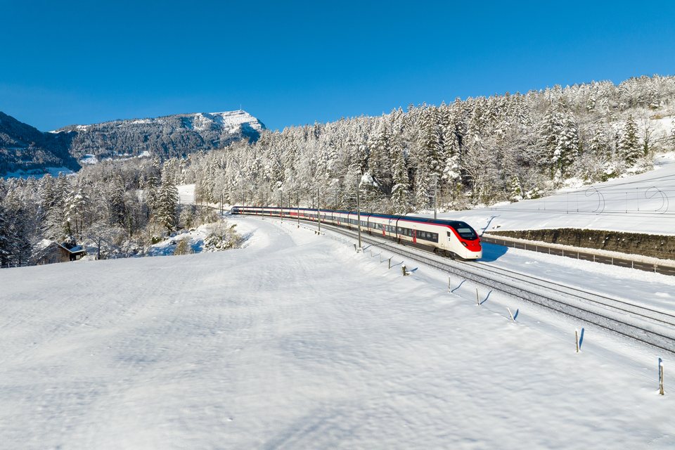 SBB (Personenverkehr): SBB RABe 501 - Goldau SZ/CH