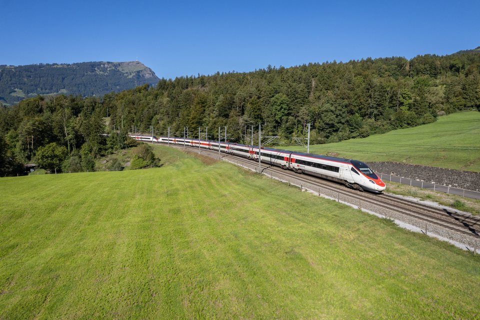 SBB (Personenverkehr): SBB RABe 503 (Goldau, SZ/CH)