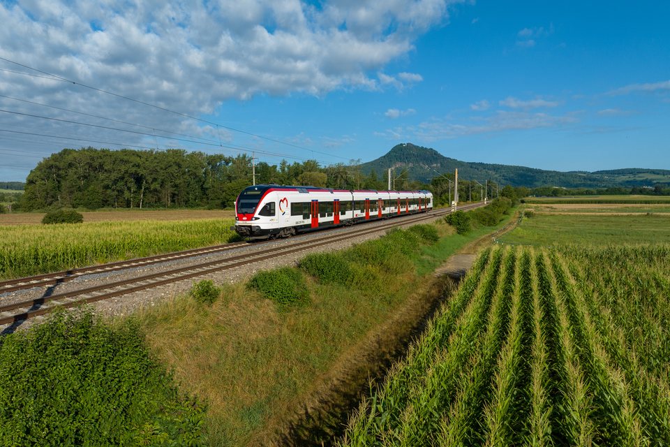 SBB (Personenverkehr): SBB RABe 521 009 at Mühlhausen (b Engen), BW, DE