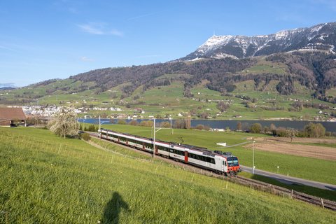 SBB (Personenverkehr): SBB RBDe 560 (Merlischachen SZ/CH)