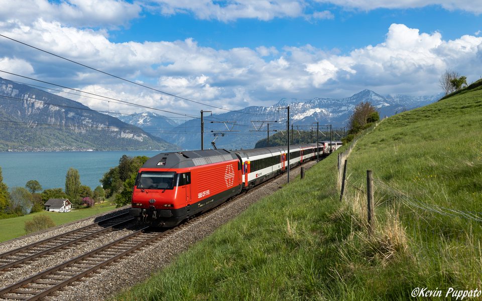 SBB (Personenverkehr): SBB Re 460 024 + IC81 IO - RH