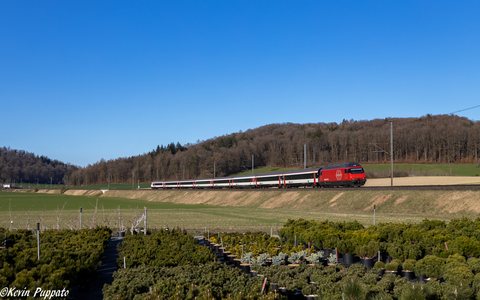SBB (Personenverkehr): SBB Re 460 083 + IC 189 SIN-ZUE