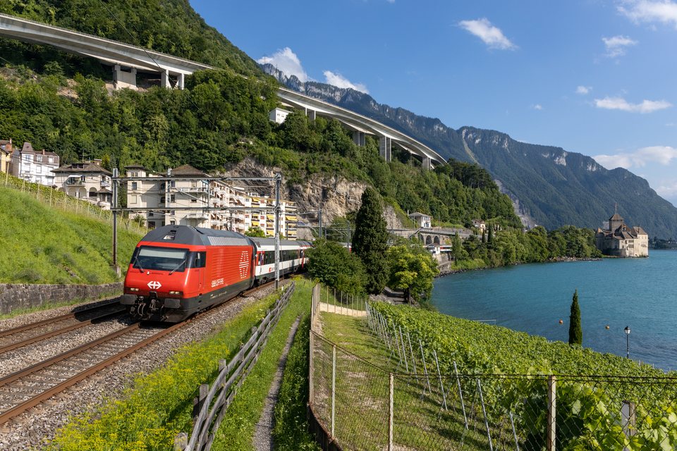 SBB (Personenverkehr): SBB Re 460 118 / Vetaux Chillon (VD/CH)