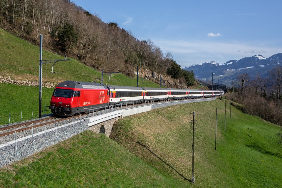 SBB (Personenverkehr): SBB Re 460 / Arth (SZ/CH)