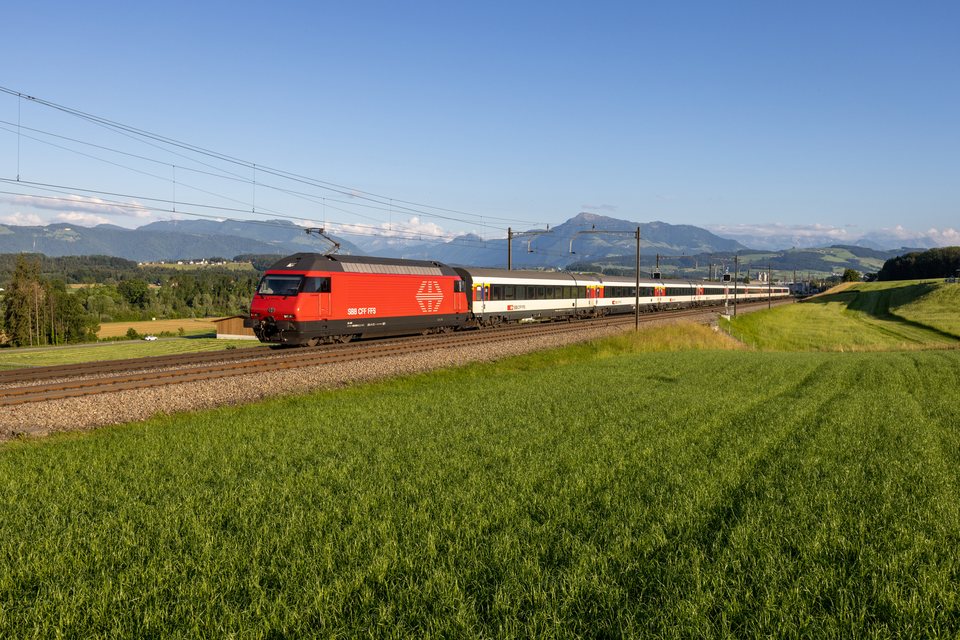 SBB (Personenverkehr): SBB Re 460 (Sins, AG/CH)