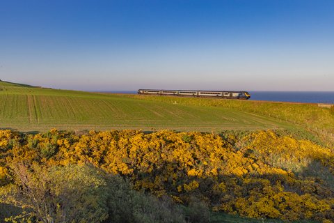 Class 43 134 (Scotrail): Class 43 031 + 134 / UK-Muchalls