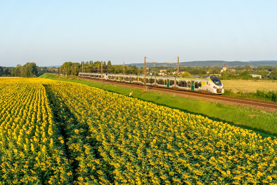 SNCF 54501 at Ladoix-Serrigny, France
