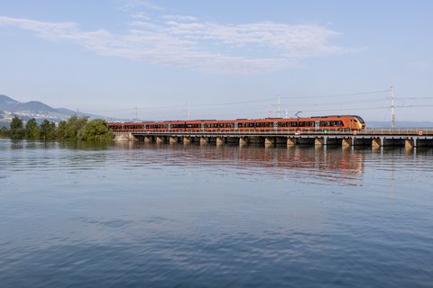 SOB RABe 526 209 / Seedamm Rapperswil (SG/CH)