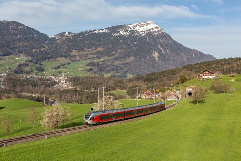 SOB RABe 526 / Steinerberg (SZ/CH)