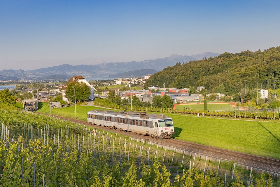 SOB: RBDe 561 084 / CH-Freienbach