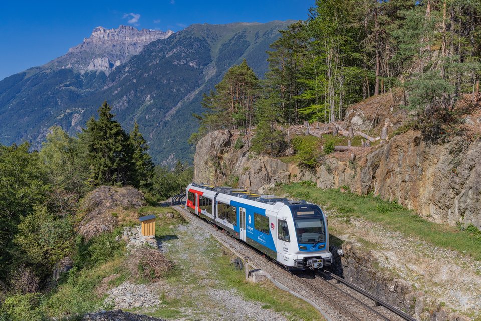 Z890 895 (TMR): Z895 / CH-Salvan