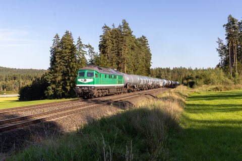 TRG 241 338 (Pechbrunn, BY/DE)