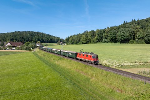 Re 420 (Re 4/4 II) 196 (Verbano): Re 420 196